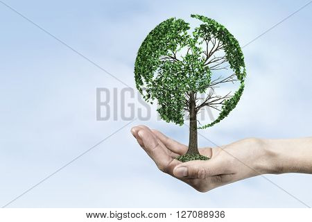 Green eco life 