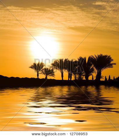Dschungel Sonnenuntergang Mirage
