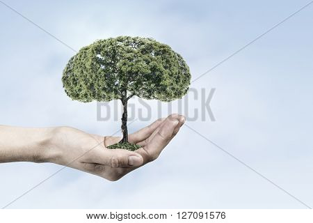 Green eco life 