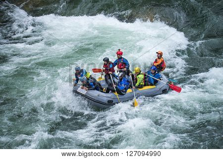 Grey Raft Team