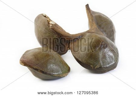 Djenkol bean seed vegetable on white background