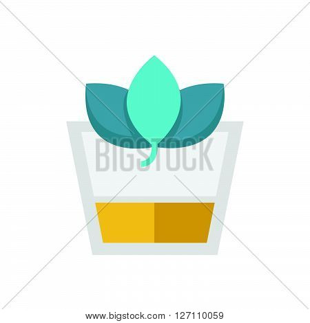 Flat Icon Herbal Drink icon support vector design  eps 10.