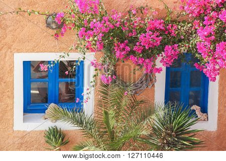 Traditional Greek House With Flowers In Oia Village On Santorini Island, Greece