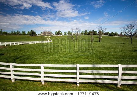 Lexington, Kenutcky, USA. April 22, 2016 - World famous Donamire Farms in Lexington, Kentucky is a premier thoroughbred training and breeding facility. The farm is open to tours through a local tour company.