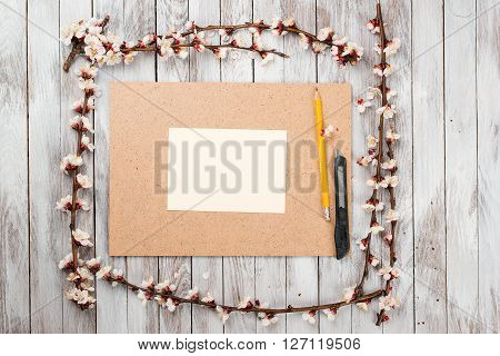 Spring Blossom over wood background. Spring Flowers on wooden background