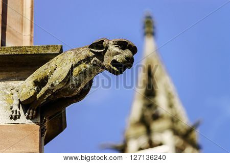 Gargoyle On A Gothic Cathedral, Detail Of A Tower On Blue Sky Background
