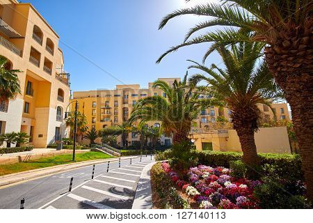 Portomaso Malta City landscape with palm Tree