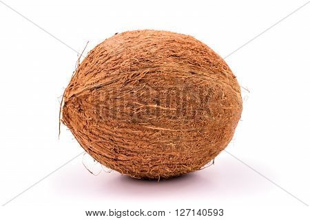 Coconut isolated on white Background, whole coco