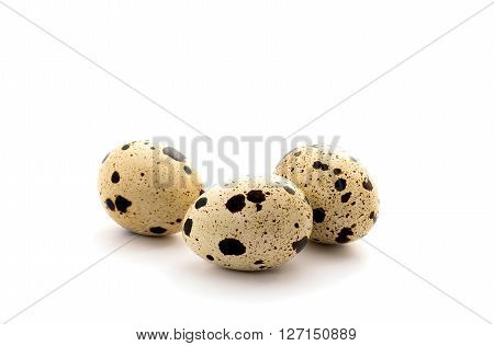 Quail egg isolated on white background, animal eggs