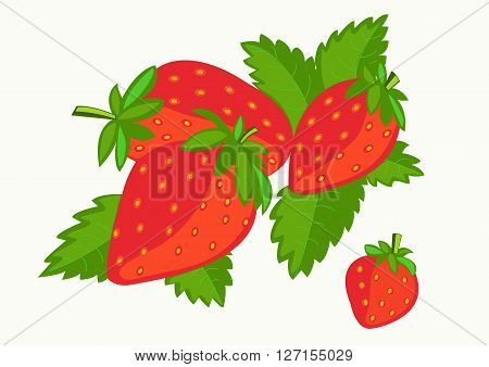beautiful strawberry with green leaves on a white background