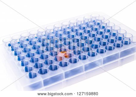 96 well microplate with different color samples