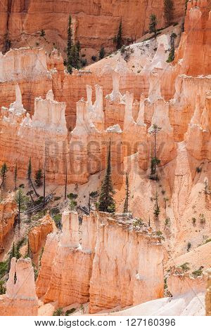 Bryce Canyon National Park, Utah, Usa