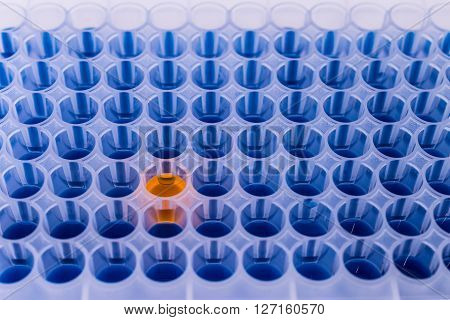 96 well microplate with different color samples