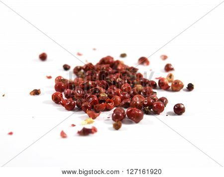 Pink peppercorns, scientific name Schinus molle (from Peruvian pepper tree)