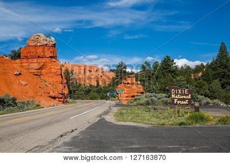 Dixie National Forest - Red Canyon, Utah