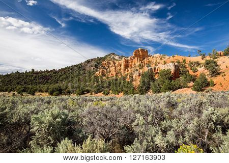 Dixie National Forest - Red Canyon, Utah