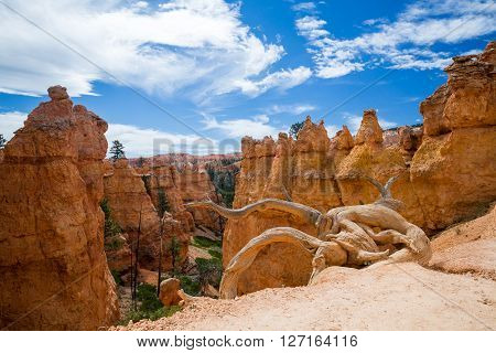 Bryce Canyon National Park, Utah, Usa