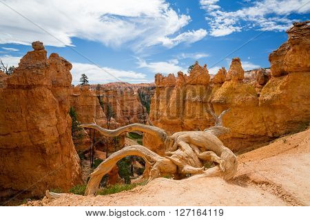 Bryce Canyon National Park, Utah, Usa