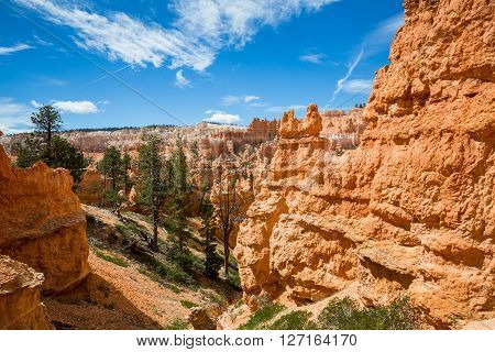 Bryce Canyon National Park, Utah, Usa