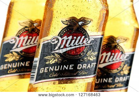 Bottles Of Miller Genuine Draft Beer Over White