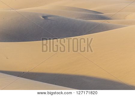 Abstract Detail Of Maspalomas Sand Dunes During Sunrise - Maspalomas Gran Canaria Canary Islands Spain
