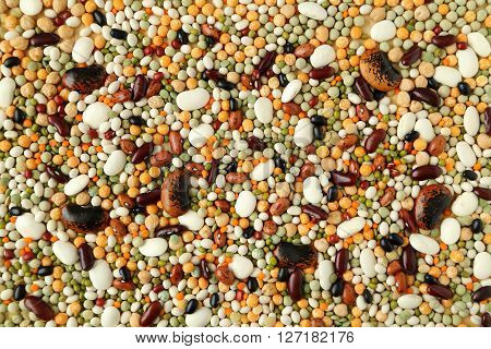 Variety of coloured beans and lentils. Food background