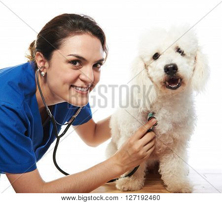 Happy Veterinar And Dog
