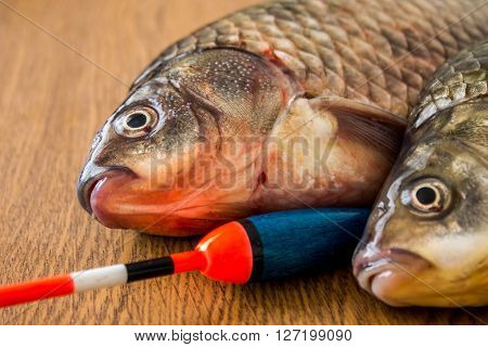 carp with fishing tackle on the wooden background