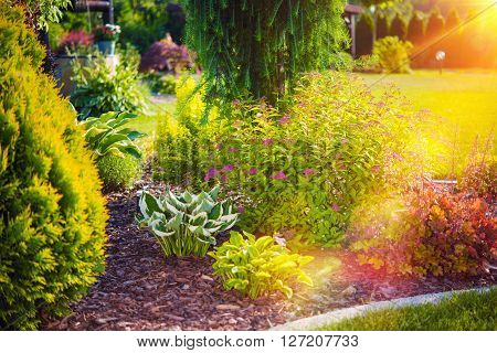 Summer Garden. Beautiful Home Backyard Rockery Garden.