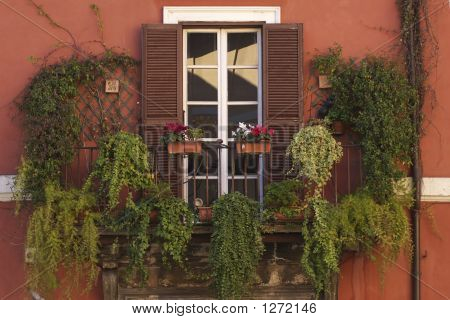 Vinduet Garden