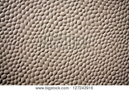 A bubble plastic turtle snake material background