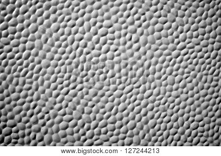 A bubble plastic snake turtle material background