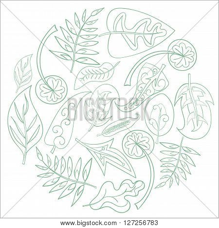 Green nature circle design element background vector illustration