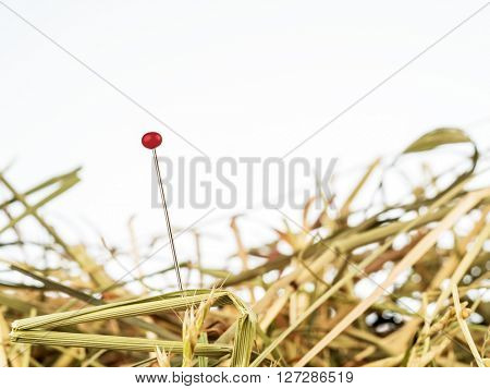needle in a haystack. saying for challenge in managemen