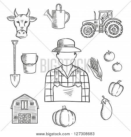 Sketch of farmer or farm worker with tractor, barn, fresh tomatoes, eggplant, pumpkin, corn and pepper vegetables, cow, watering can, spade and bucket. Great for agriculture mascot or farmers market symbol design