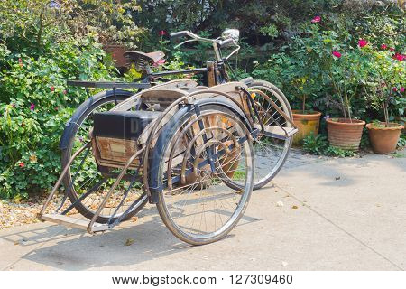 CHIANG RAI THAILAND - APRIL 25 : classic wheeler Tricycle bicycle in the fresh garden on April 25 2016 in Chiang rai Thailand