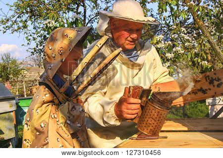 beekeeper grandfather and grandson examine a hive of bees, beekeeping family affair