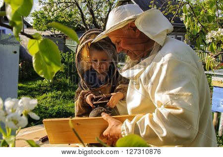 beekeeper grandfather and grandson examine a hive of bees, beekeeping family affair