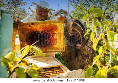 beekeeper grandfather and grandson examine a hive of bees, beekeeping family affair