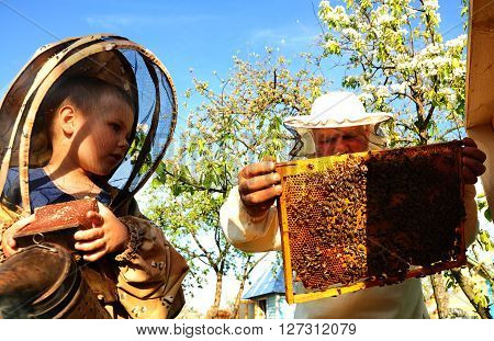 beekeeper grandfather and grandson examine a hive of bees, beekeeping family affair