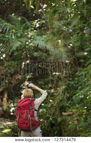 Tourist Hiker At Palenque Rainforest In Mexico