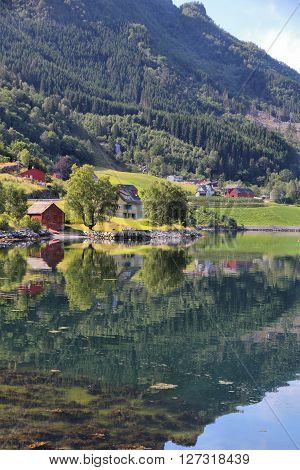 Fiord In Norway