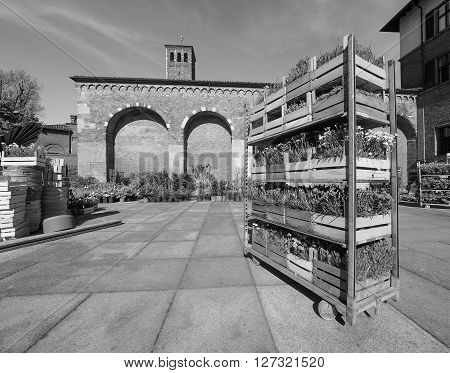 Sant Ambrogio Church In Milan