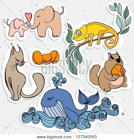 Cute animals cartoon, cartooning whild animal - whale,  chameleon