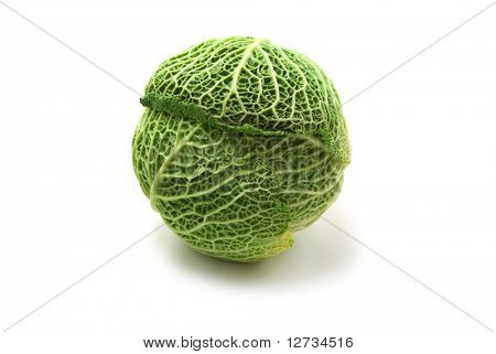 孤立在白色背景上的绿色白菜