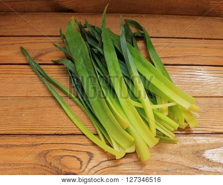 Russian name - Asphodel (asfodil), Latin name - Asphodelus. The family - Liliaceae