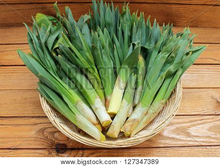 Russian name - Asphodel (asfodil), Latin name - Asphodelus. The family - Liliaceae