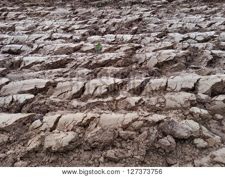 Plowed Cultivated Loam Soil Field