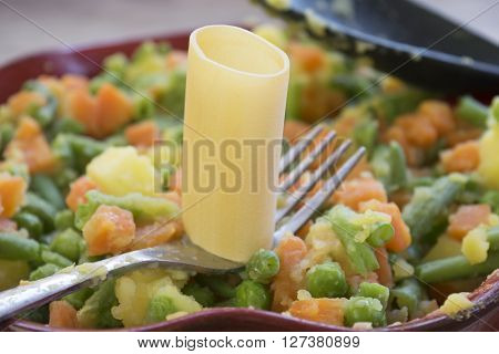 paccheri pasta of gragnano with colored and steamed vegetable ragout