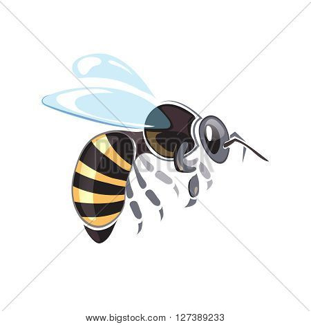 Apiary vector illustrations. Apiary symbols. Bee isolate on white background